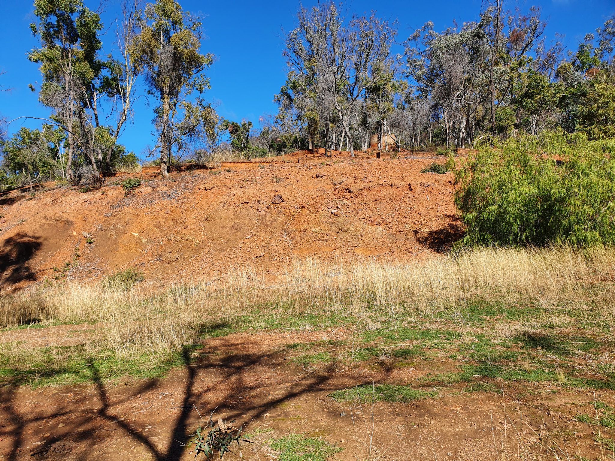 Barraba Copper Project - Comet Resources : Comet Resources